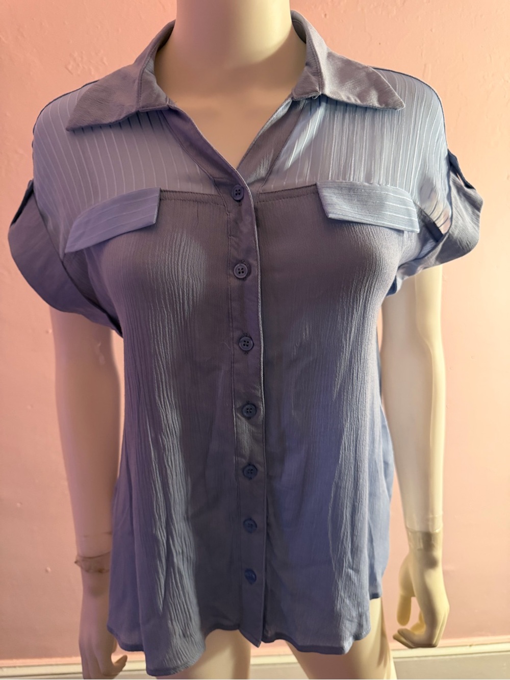 Sheer top blue blouse